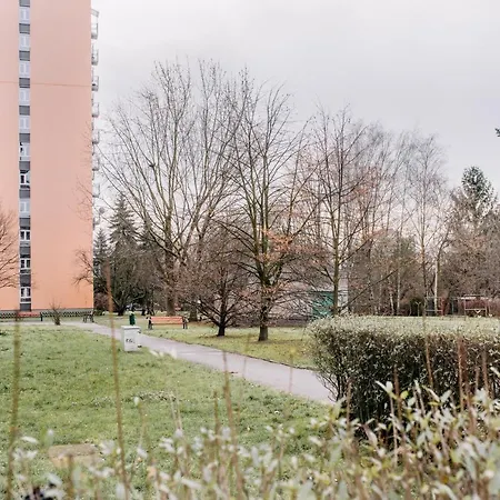 New! With 3 Beds - Easy Access To Airport, Center & Wum