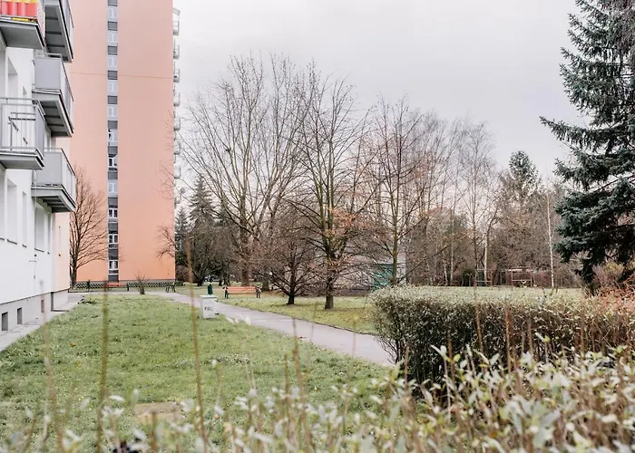 New! With 3 Beds - Easy Access To Airport, Center & Wum